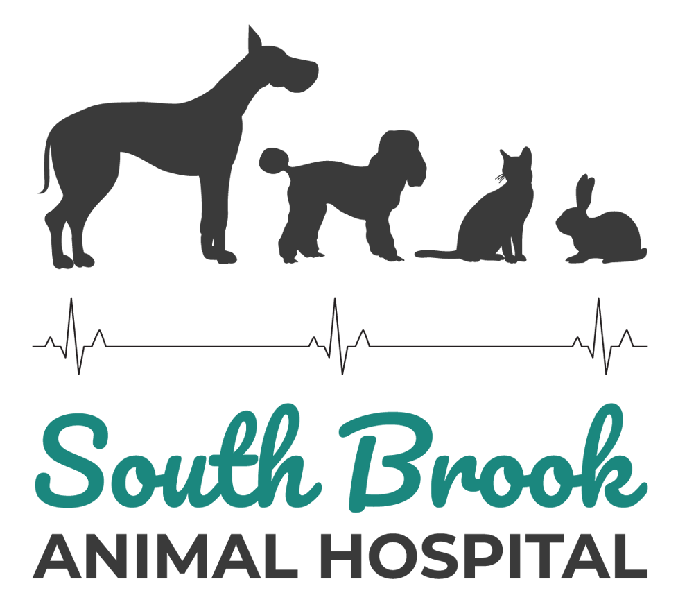 South Brook Animal Hospital